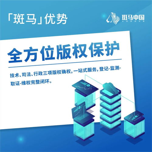 解讀斑馬 卓越的項目策劃與公關服務優勢